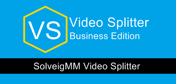 SolveigMM Video Splitter Home 3