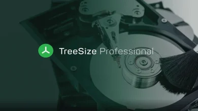 TreeSize Professional Full